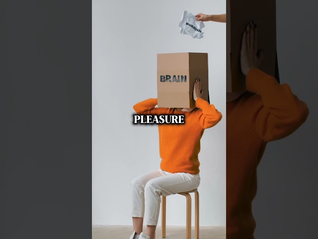 14 October 2025
