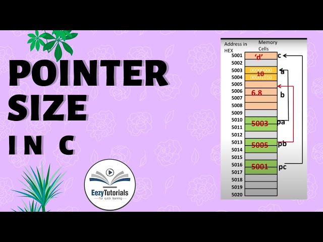 Pointer Size - C Programming lecture series