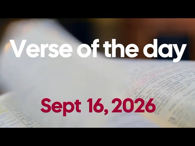 How Should a Christian Behave Online? | Verse of the Day