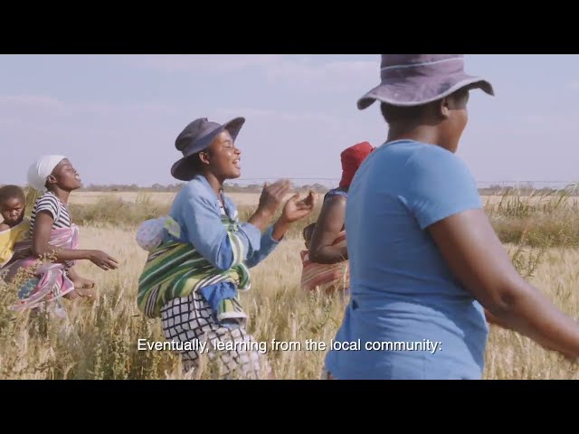 The UNDP Accelerator Labs Tackle Sustainable Development Problems with Grassroots Solutions