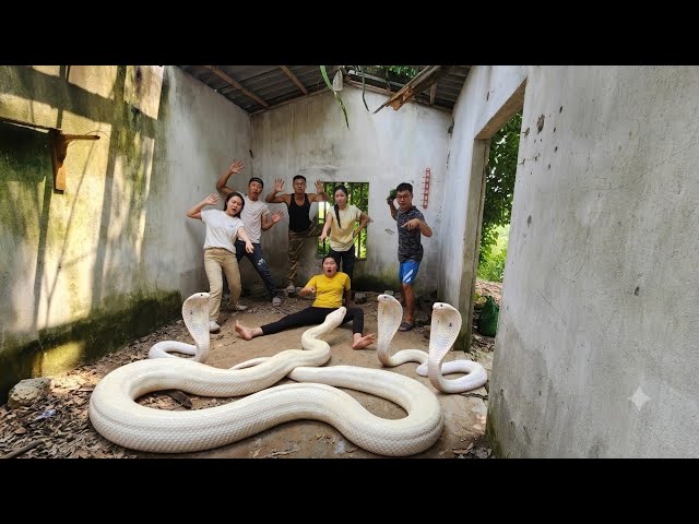 6 Brave Hunters Enter Abandoned House and Catch Giant White Python