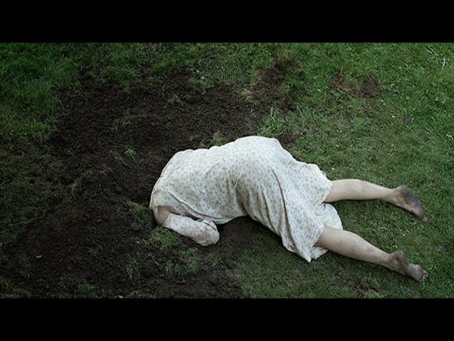 The Hole in the Ground (2019) Full  Movie Explained in Bangla || হলিউড একশন  Horror মুভি বাংলা ডাবিং