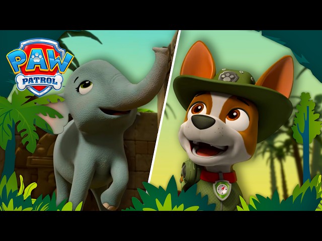 Tracker Rescues a Baby Elephant! 🐘 | PAW Patrol Dino Rescues 🦖