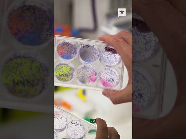 A new state policy on H1-B visas could lead to a decline in cancer research in Texas. #texas