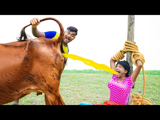 Trending Very Special Funny Comedy Video 😂 Amazing New Comedy Video 2026 Episode 08 by Funny House
