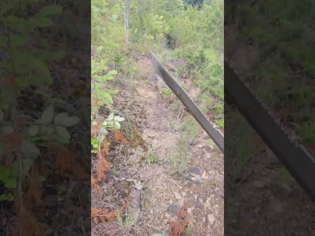 The Path I am making