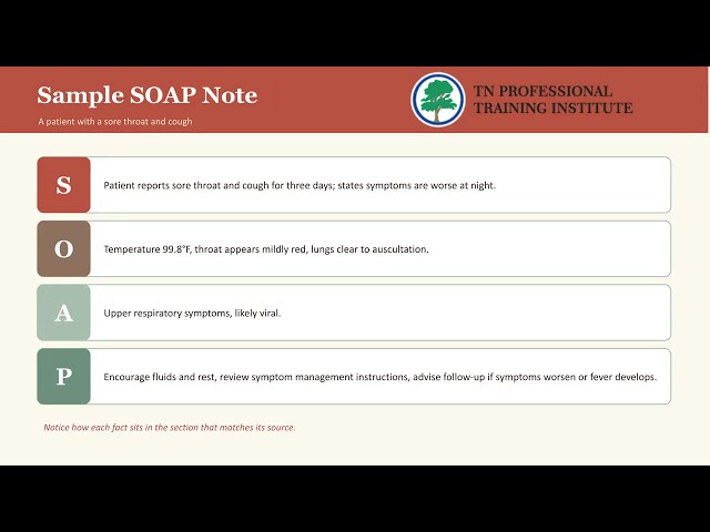 SOAP Notes