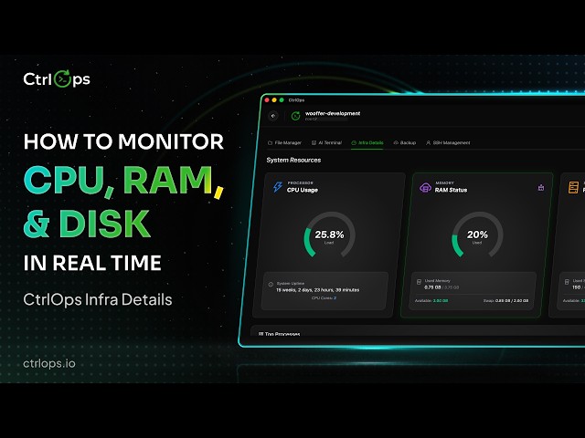 How to Monitor CPU, RAM & Disk in Real-Time | CtrlOps Infra Details