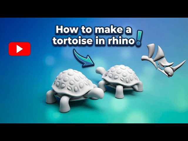 How to Model a 3D Tortoise in Rhino – Beginner Rhino Tutorial