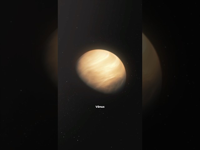 Venus is bizarre