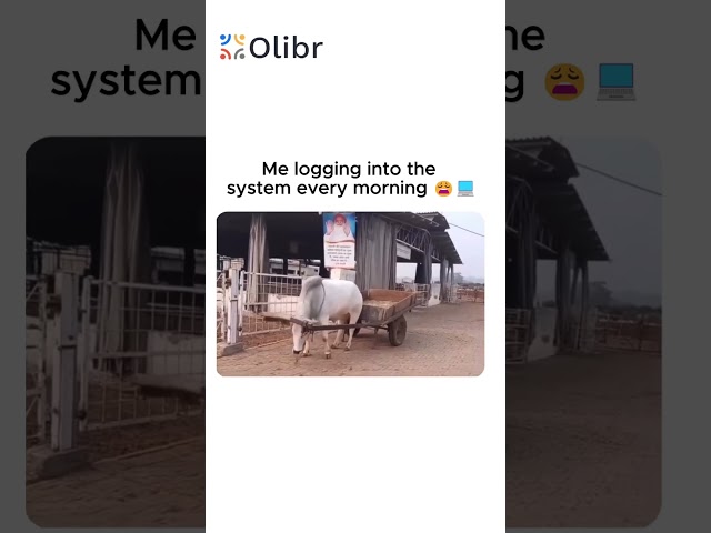 Me logging into the system every Morning