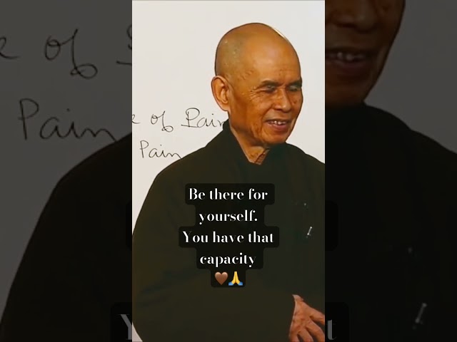 Be a refuge for yourself: no one else can do it for you 😌 #zen #thichnhathanh #meditation