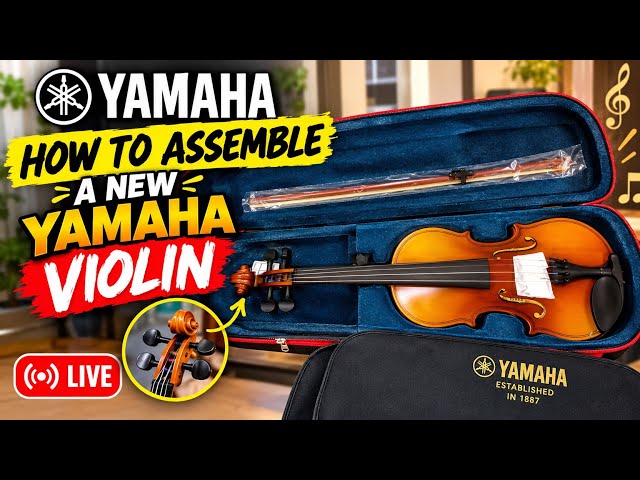How to Assemble a new YAMAHA VIOLIN 🎻