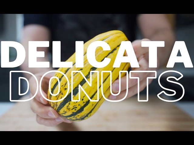 Delicata Donuts
