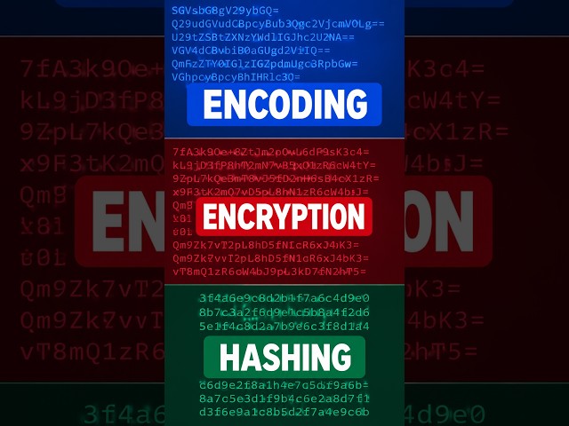Encoding vs Encryption vs Hashing — What’s the Difference?