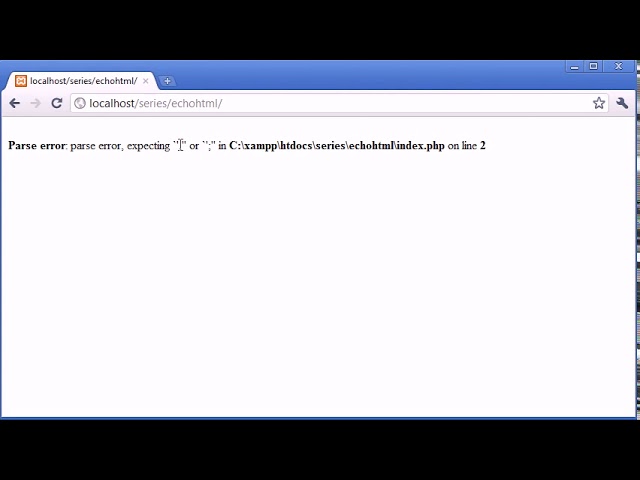 PHP 11  Output HTML Using echo print