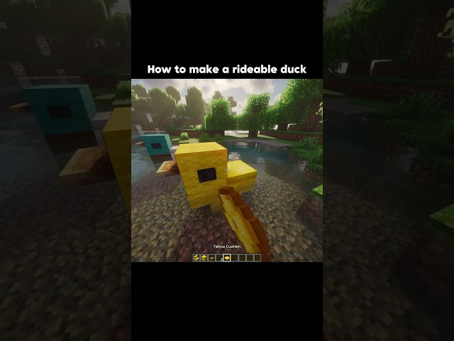 Let's take it for a spin