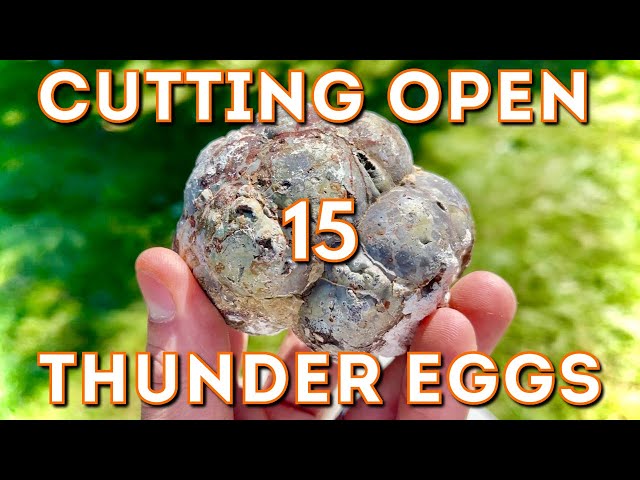 [WOW] Cutting the BEST Thunder Egg Cores with Lapidary saw!