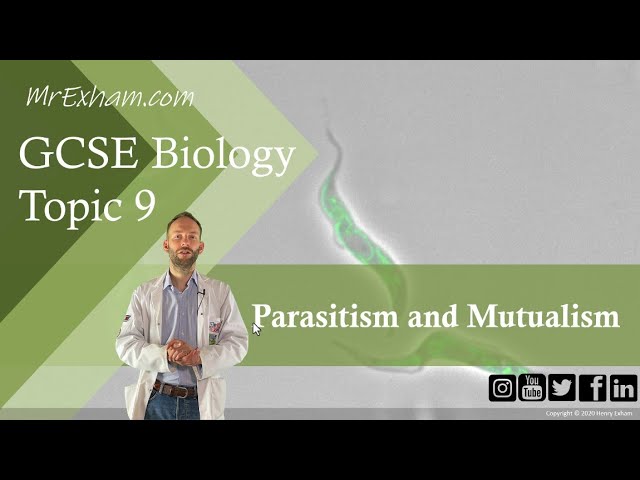 Parasitism and Mutualism - GCSE Biology (9-1) 9.4