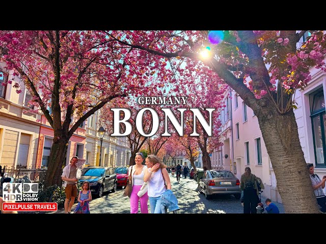 Bonn, Germany 4K Walking Tour | Stunning Walk Through the Most Beautiful Streets of Bonn