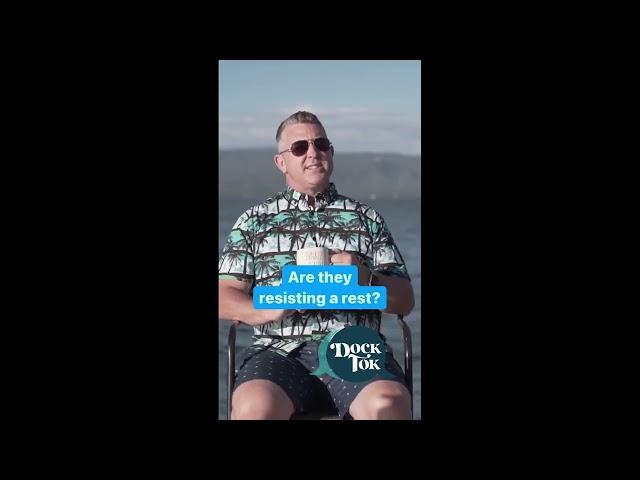 Side-Splitting Dad Jokes: Dock Tok's Funniest Moments