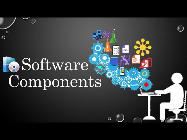 Software Components Types
