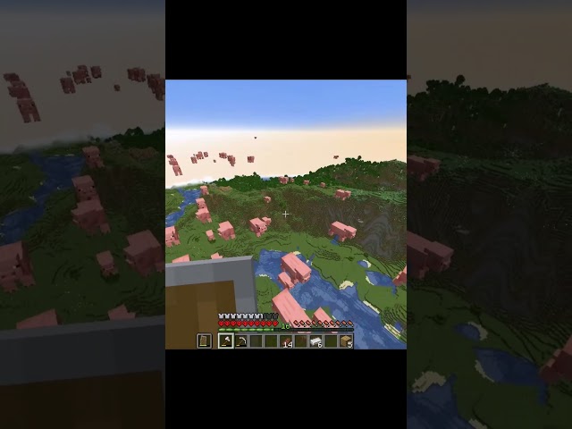 Nooo my pig farm