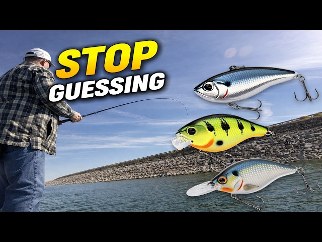 3 Crankbaits That Catch Bass All Fall