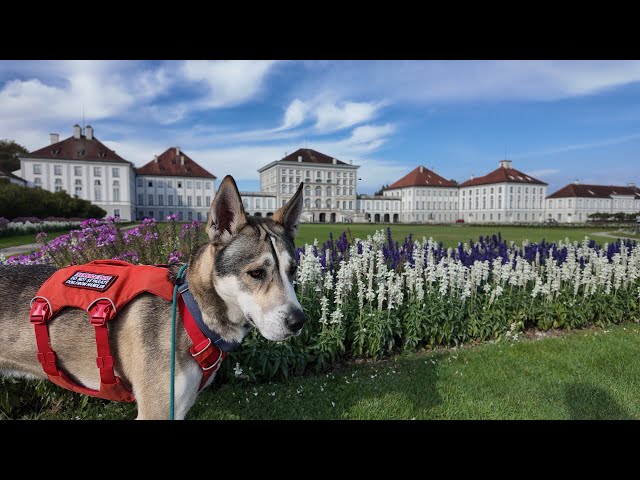 A once-In-A-Lifetime day in Munich Tansy becomes the first dog ever allowed inside 