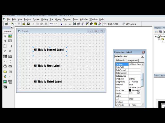 How to add the text to Label in Visual Basic 6 0