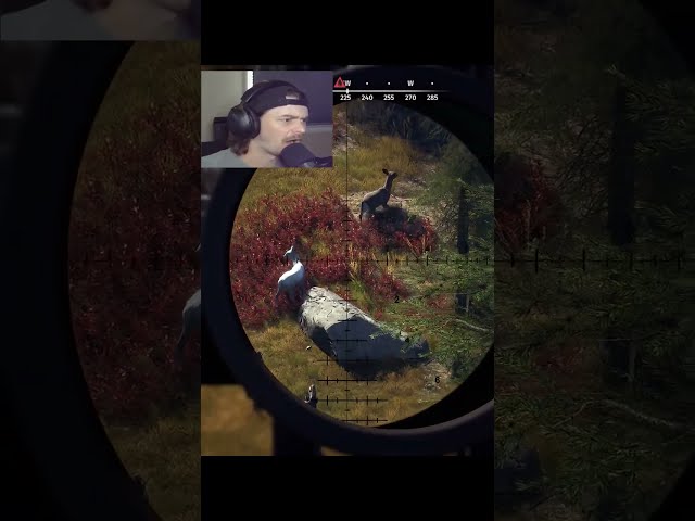 Two Leucistic Doe And Falling Off A Cliff 😂 #wayofthehunter