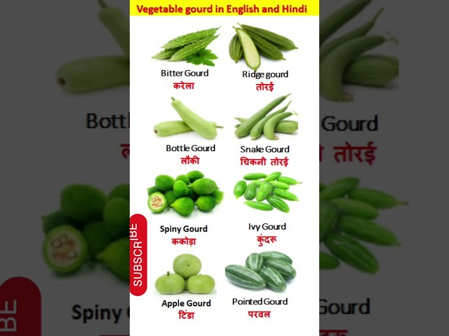 Vegetables Gourd/Vegetables gourd name English and Hindi/green vegetables vocabulary/हरी सब्जियां