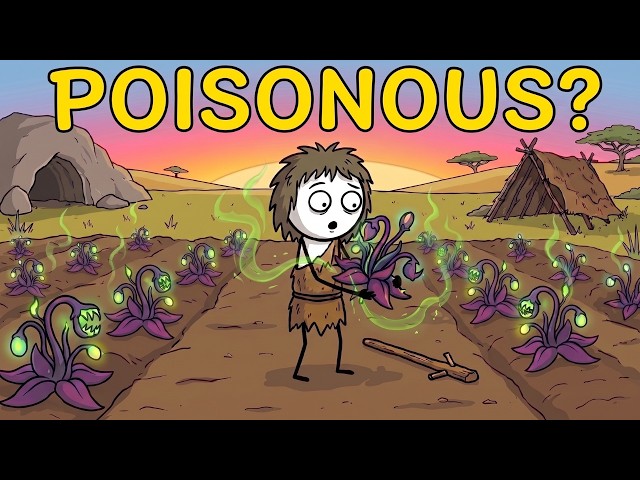 Why Did Ancient Humans Farm a Plant They Couldn't Eat?