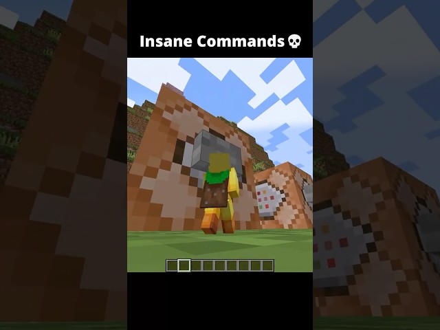 Insane Command💀