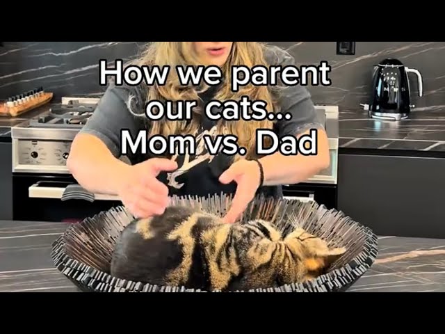 Which parent are you?