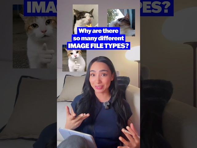 A timeline on image file types and why we have so many