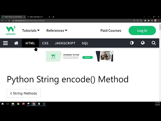 W3schools Python  - String Methods (built in)