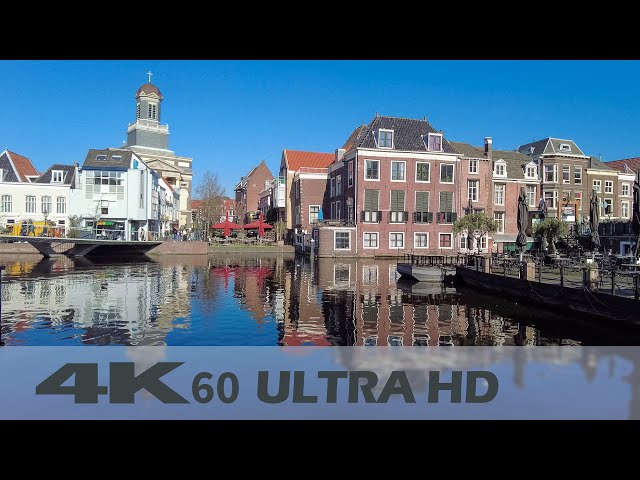 Afternoon Walk in LEIDEN | Netherlands | Historic City Centre | 4K60 Walking Tour | Binaural Audio
