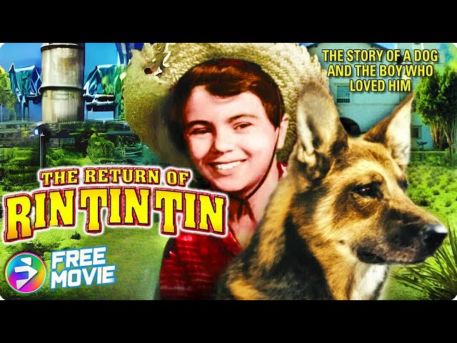 THE RETURN OF RIN TIN TIN | Emotional Dog Story | Donald Woods, Robert Blake | Free Dog Movie