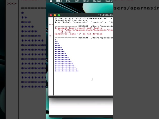 Printing * structure on python #progra #cbse