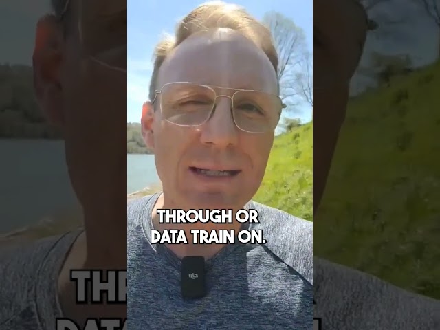 AI's long tail problem