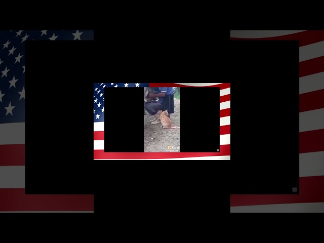 Thirsty Kitty 2021- REACTION