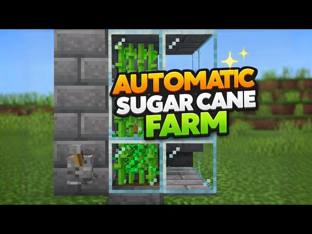 Watch Me Build the ULTIMATE Automatic Sugarcane Farm in Minecraft! 🌾✨