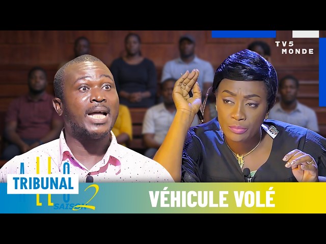 ALLÔ TRIBUNAL : Véhicule volé | Série Comédie 🇨🇮 | S2EP50