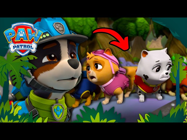 Can Rex Save the Kitty Catastrophe Crew?🙀 | PAW Patrol Dino Rescues 🦖