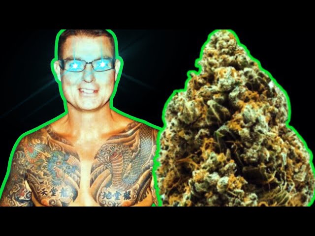 The Canadian Weed Smuggler Who Stood Up to the Hells Angels (Documentary)