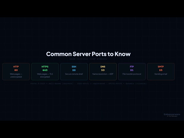 Client vs Server in Computer Networks | HTTP, HTTPS & Ports Explained