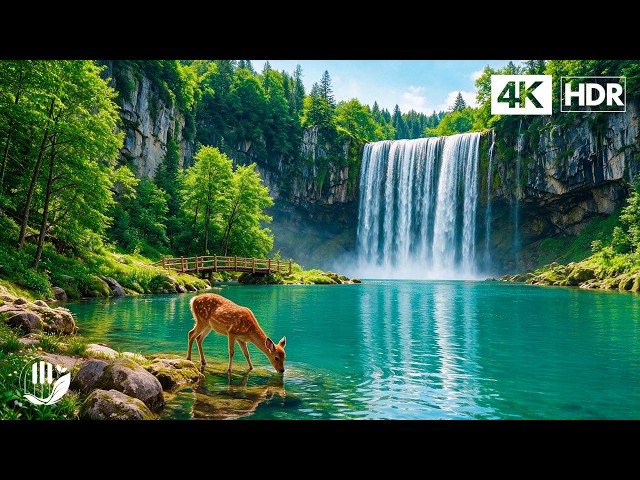 Music Therapy for the Nervous System 🌿 Beautiful Relaxing Music & Natural Sounds for Deep Sleep #14