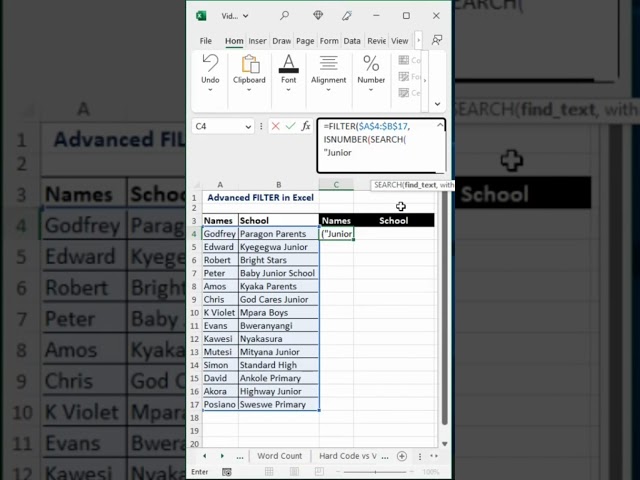 Conditional Filter in Excel with Partial Text
