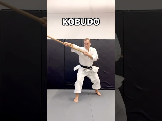 Kobudo vs. MMA π₯